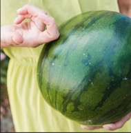 Melón červený a žltý: Naozaj ich dobre poznáte?  