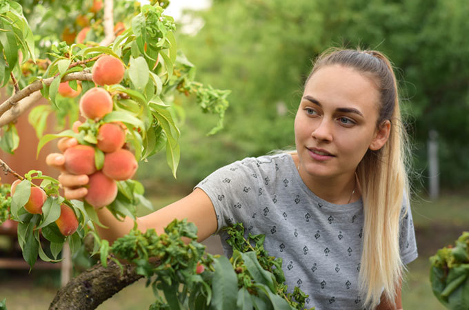 Kôstkové ovocie patrí aj do vašej kuchyne. Prečo? 