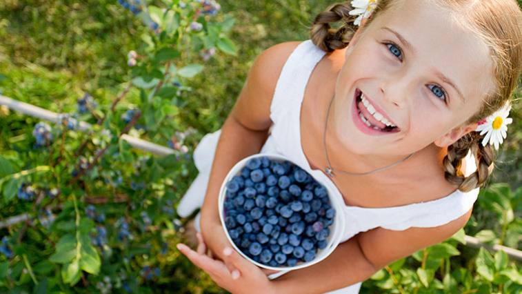Zdravotné účinky bobúľ: Prečo jesť aróniu či maliny?