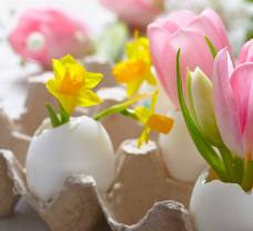 FOTOinšpirácie na jarné a veľkonočné dekorácie 