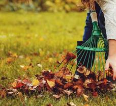 November: jarabina, šípky či zazimovanie záhrady